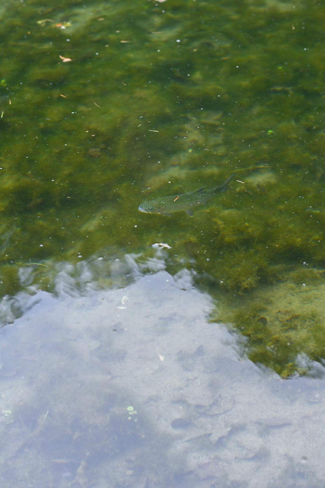 Rozin- Klimatyczne Domki Caloroczne I Jura Krakowsko-Czestochowska Krzeszowice Bagian luar foto