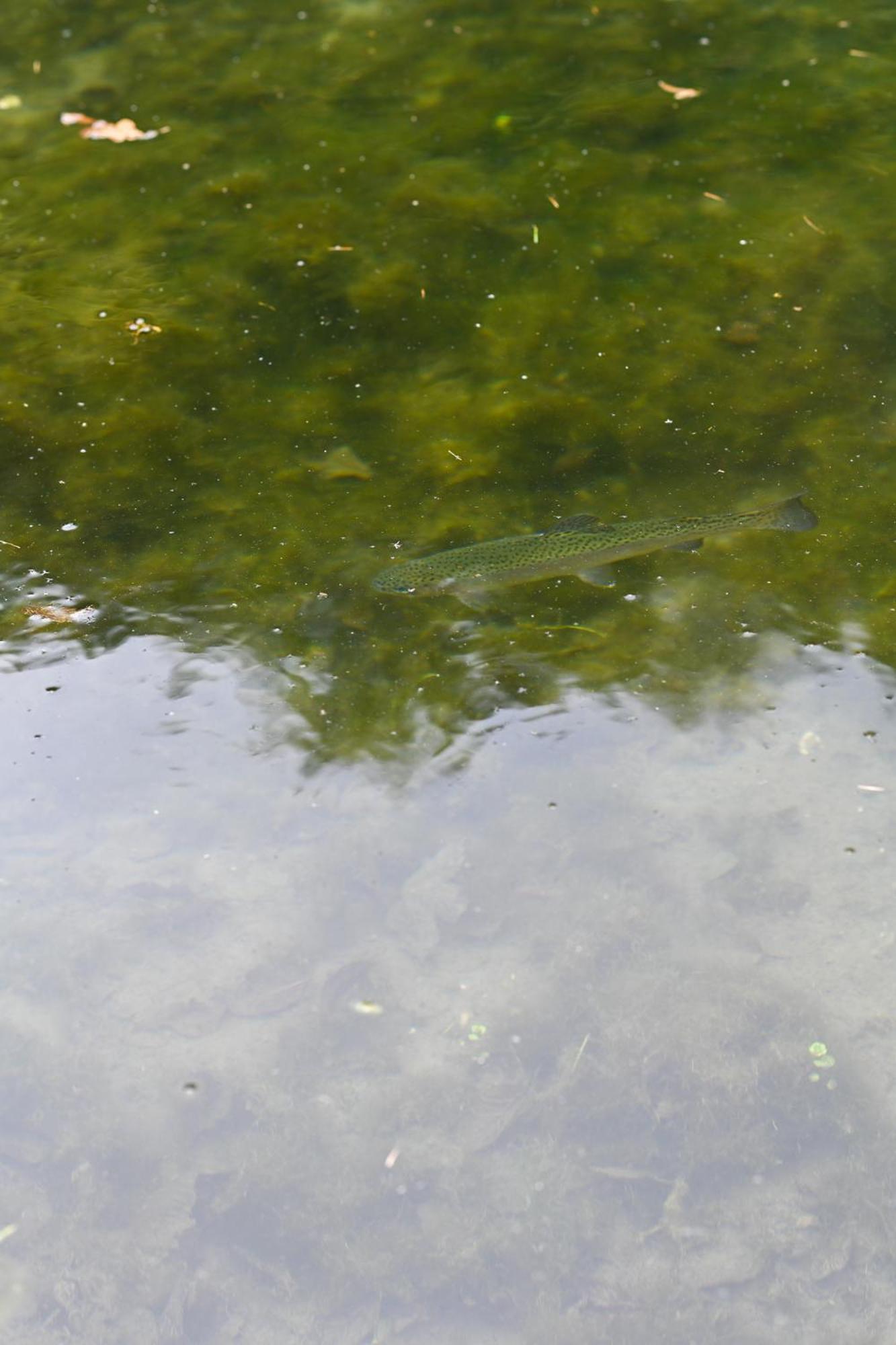Rozin- Klimatyczne Domki Caloroczne I Jura Krakowsko-Czestochowska Krzeszowice Bagian luar foto