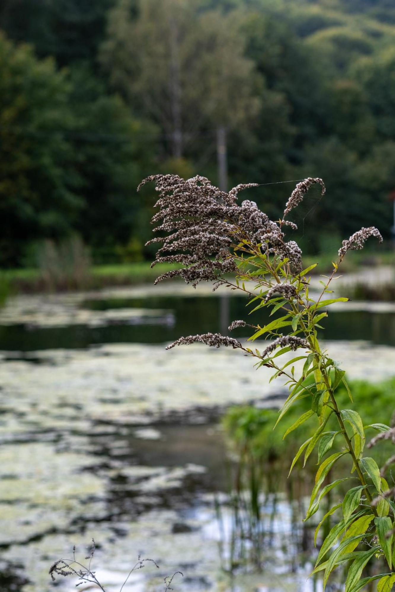 Rozin- Klimatyczne Domki Caloroczne I Jura Krakowsko-Czestochowska Krzeszowice Bagian luar foto