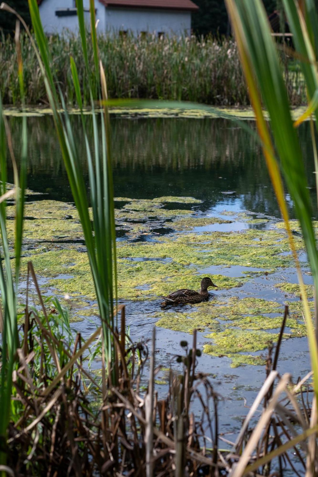 Rozin- Klimatyczne Domki Caloroczne I Jura Krakowsko-Czestochowska Krzeszowice Bagian luar foto