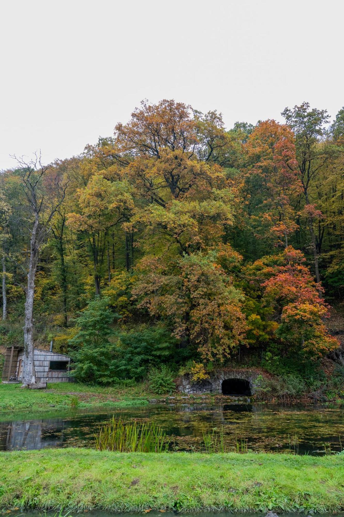Rozin- Klimatyczne Domki Caloroczne I Jura Krakowsko-Czestochowska Krzeszowice Bagian luar foto