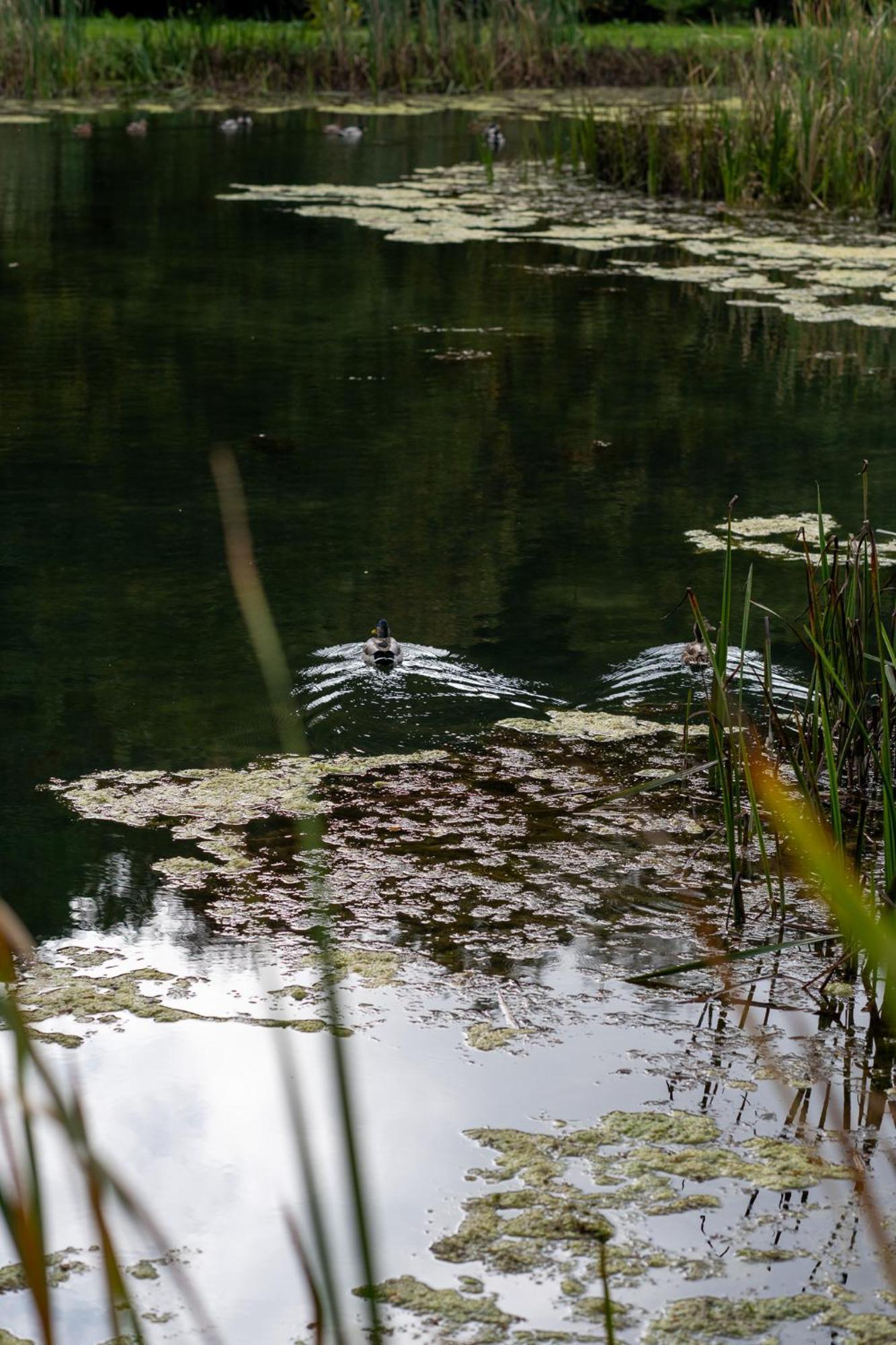 Rozin- Klimatyczne Domki Caloroczne I Jura Krakowsko-Czestochowska Krzeszowice Bagian luar foto