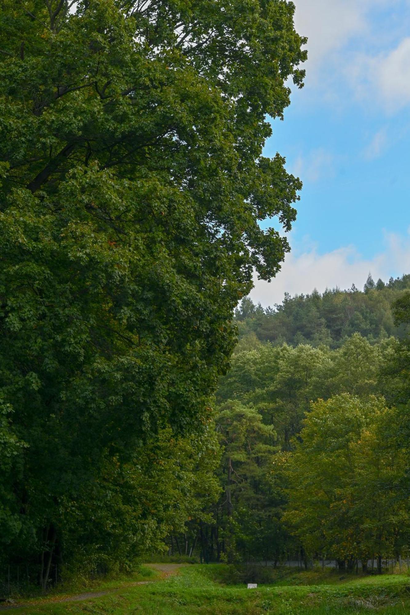 Rozin- Klimatyczne Domki Caloroczne I Jura Krakowsko-Czestochowska Krzeszowice Bagian luar foto