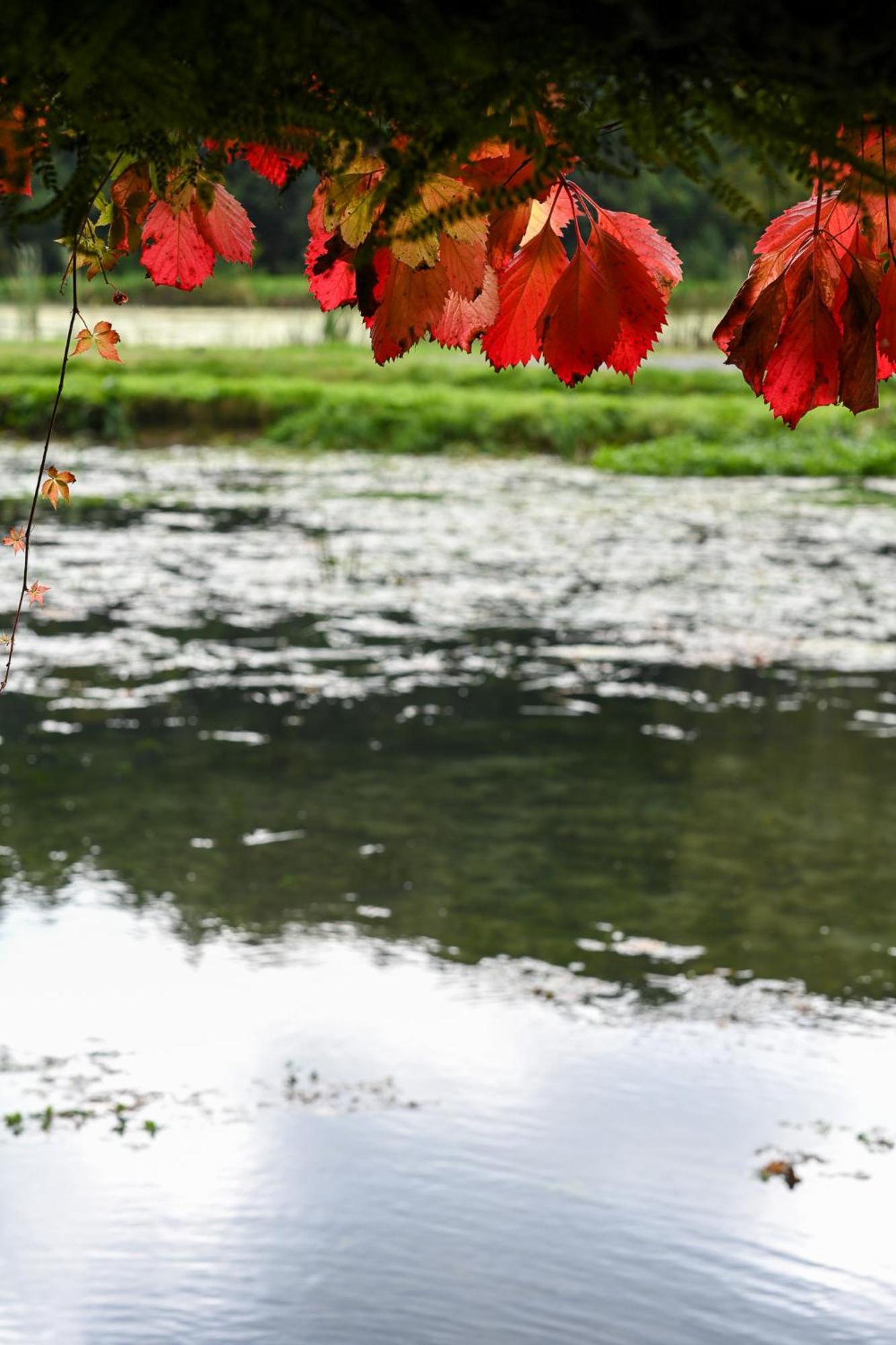 Rozin- Klimatyczne Domki Caloroczne I Jura Krakowsko-Czestochowska Krzeszowice Bagian luar foto
