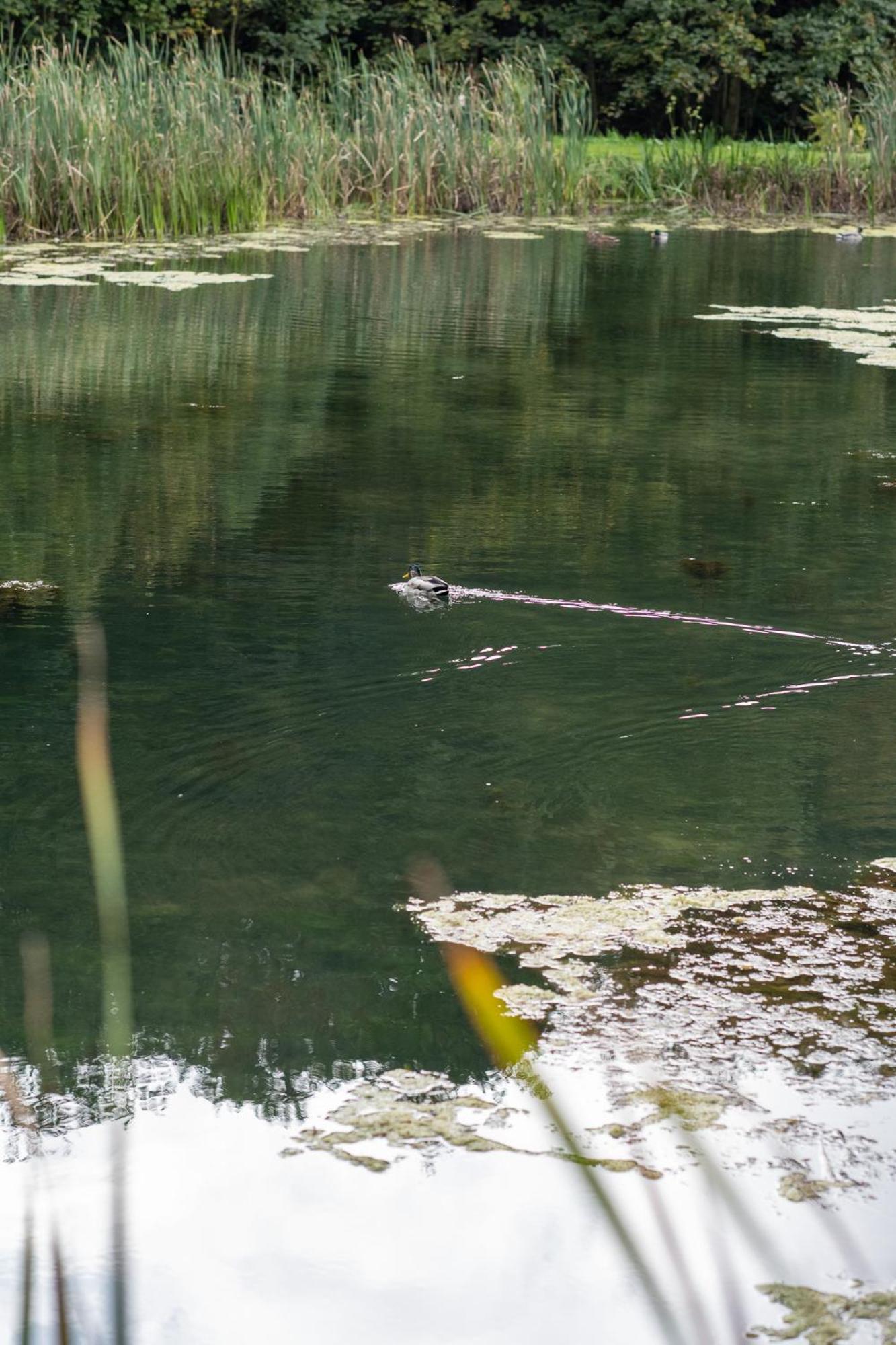 Rozin- Klimatyczne Domki Caloroczne I Jura Krakowsko-Czestochowska Krzeszowice Bagian luar foto