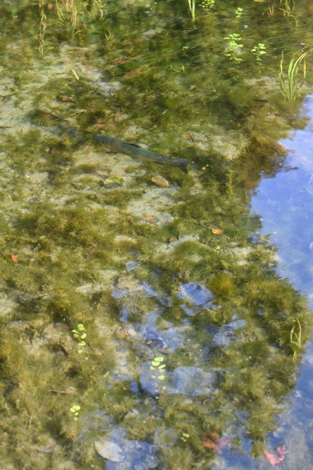 Rozin- Klimatyczne Domki Caloroczne I Jura Krakowsko-Czestochowska Krzeszowice Bagian luar foto