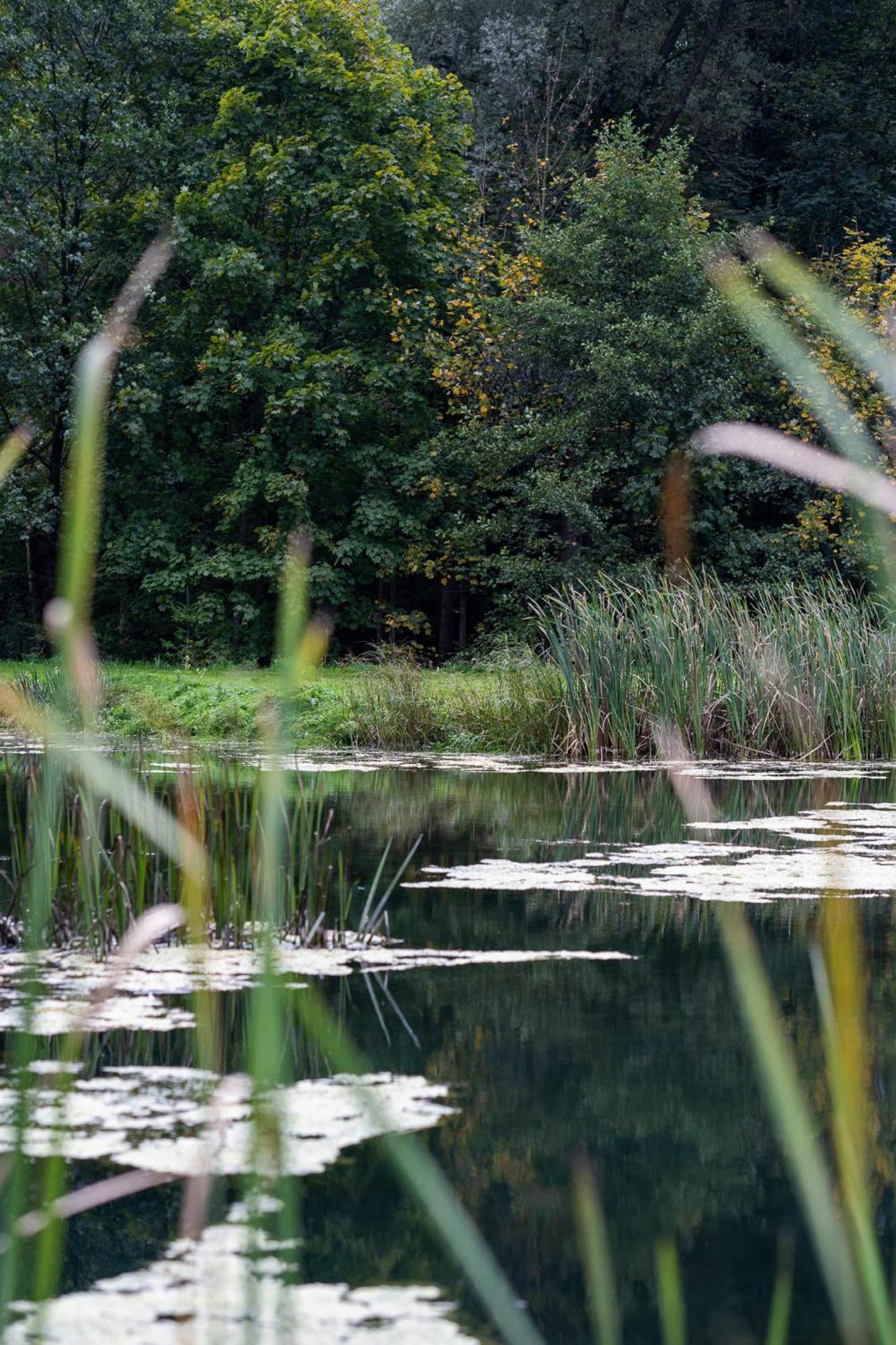 Rozin- Klimatyczne Domki Caloroczne I Jura Krakowsko-Czestochowska Krzeszowice Bagian luar foto