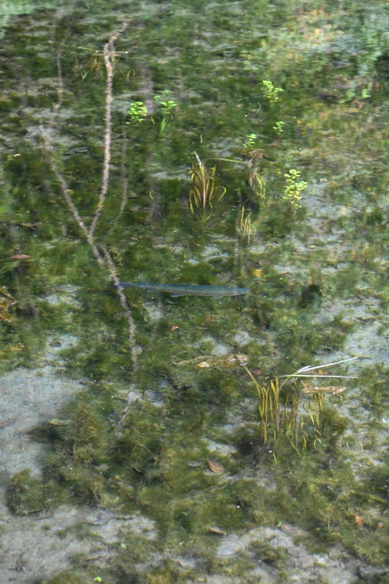 Rozin- Klimatyczne Domki Caloroczne I Jura Krakowsko-Czestochowska Krzeszowice Bagian luar foto