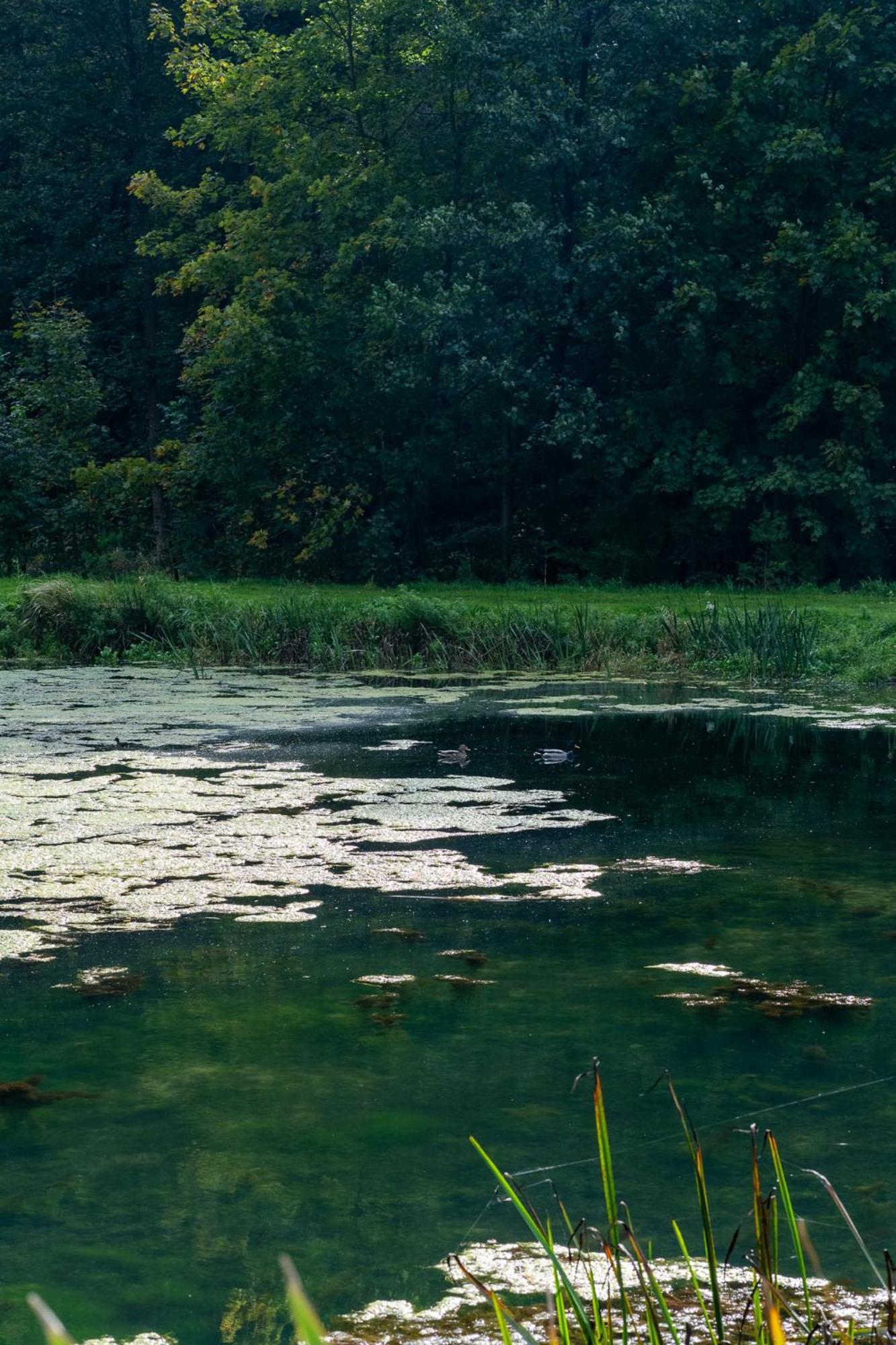 Rozin- Klimatyczne Domki Caloroczne I Jura Krakowsko-Czestochowska Krzeszowice Bagian luar foto