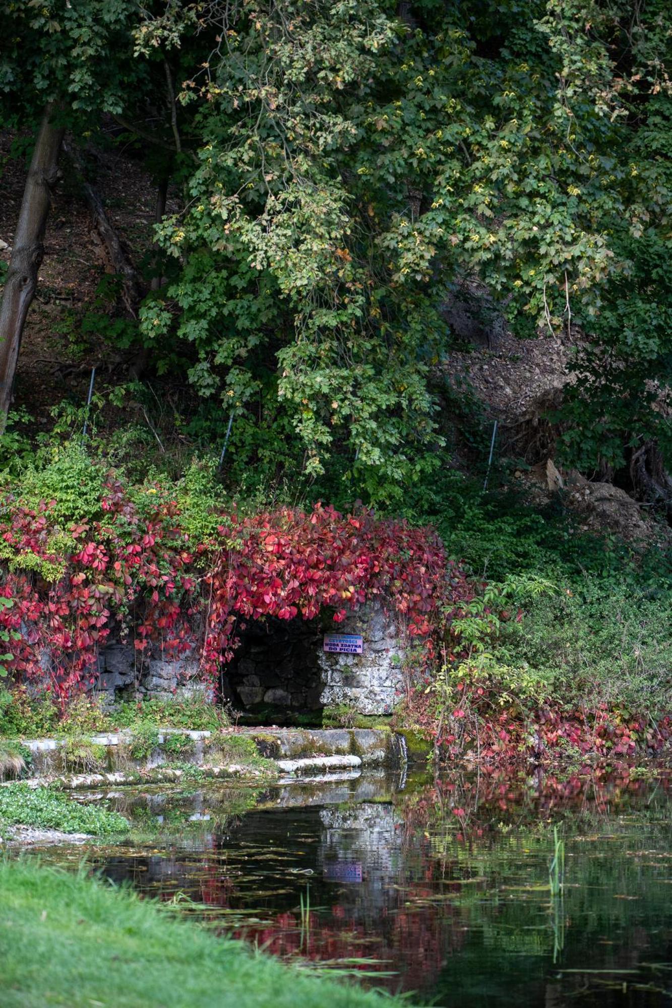 Rozin- Klimatyczne Domki Caloroczne I Jura Krakowsko-Czestochowska Krzeszowice Bagian luar foto