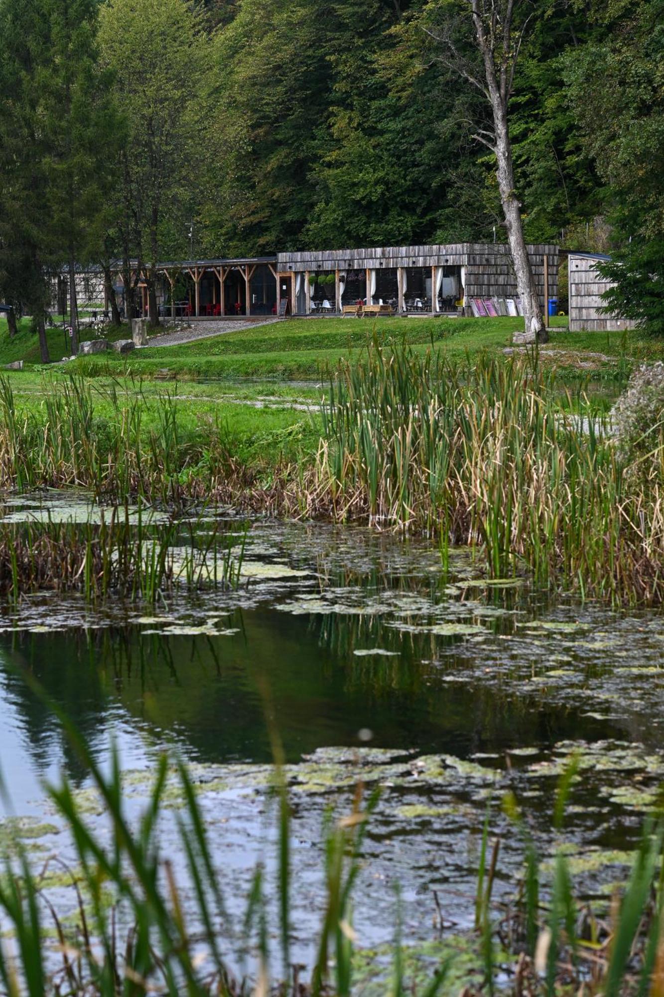 Rozin- Klimatyczne Domki Caloroczne I Jura Krakowsko-Czestochowska Krzeszowice Bagian luar foto