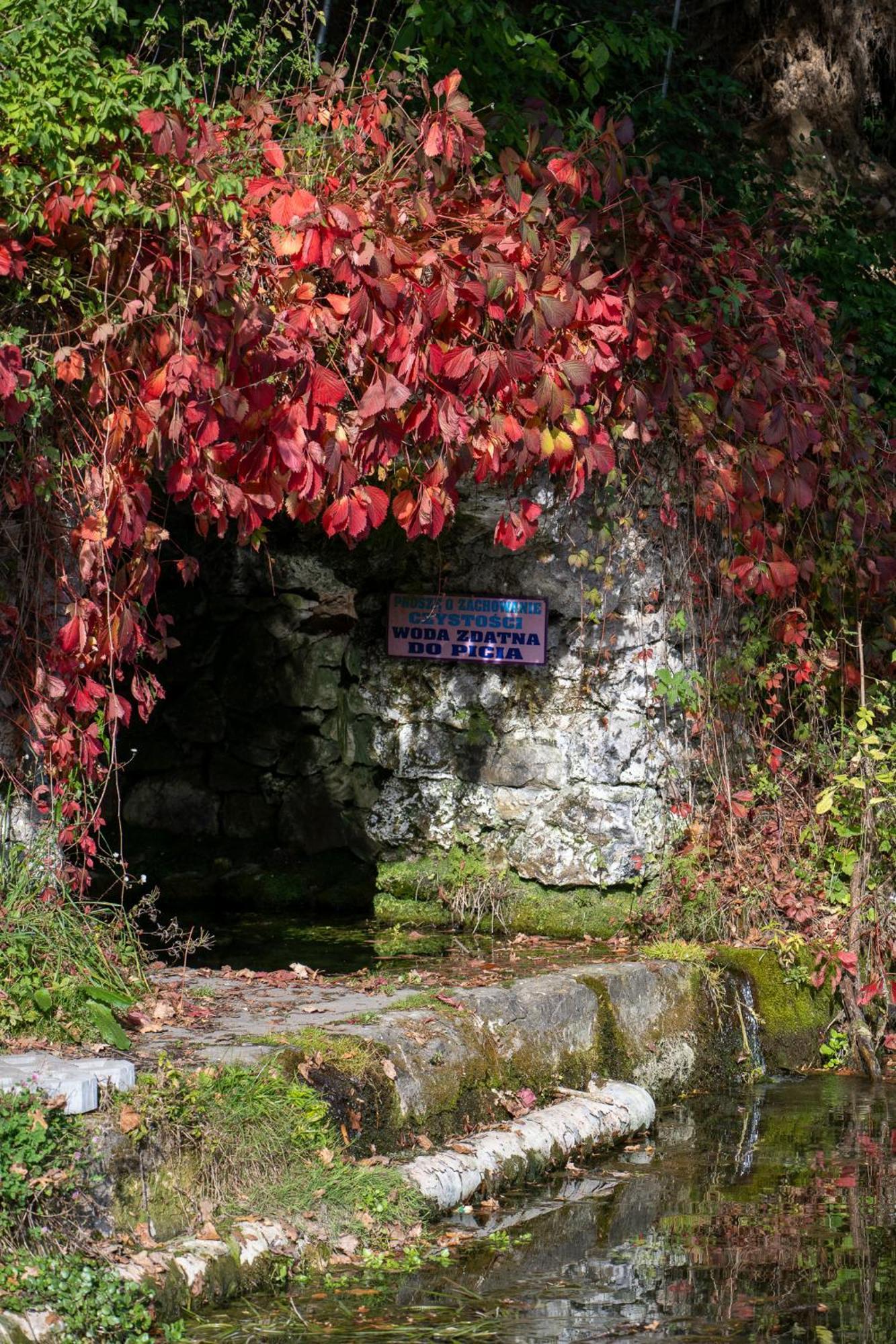 Rozin- Klimatyczne Domki Caloroczne I Jura Krakowsko-Czestochowska Krzeszowice Bagian luar foto