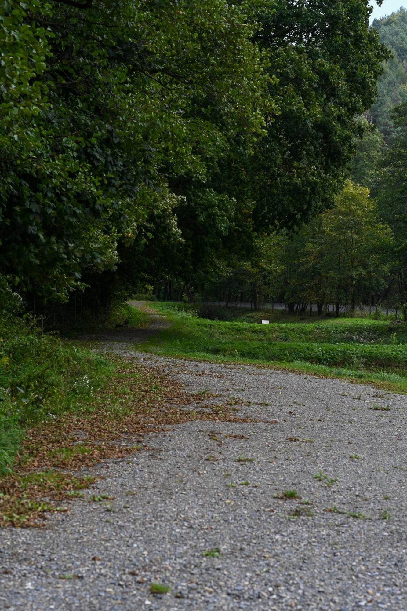 Rozin- Klimatyczne Domki Caloroczne I Jura Krakowsko-Czestochowska Krzeszowice Bagian luar foto