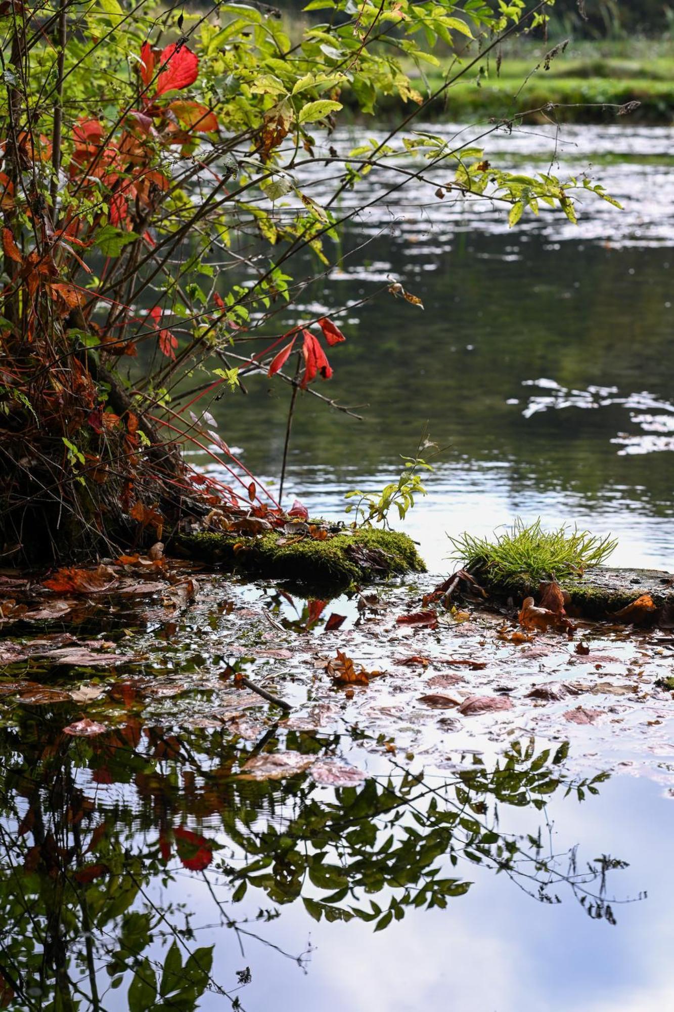 Rozin- Klimatyczne Domki Caloroczne I Jura Krakowsko-Czestochowska Krzeszowice Bagian luar foto