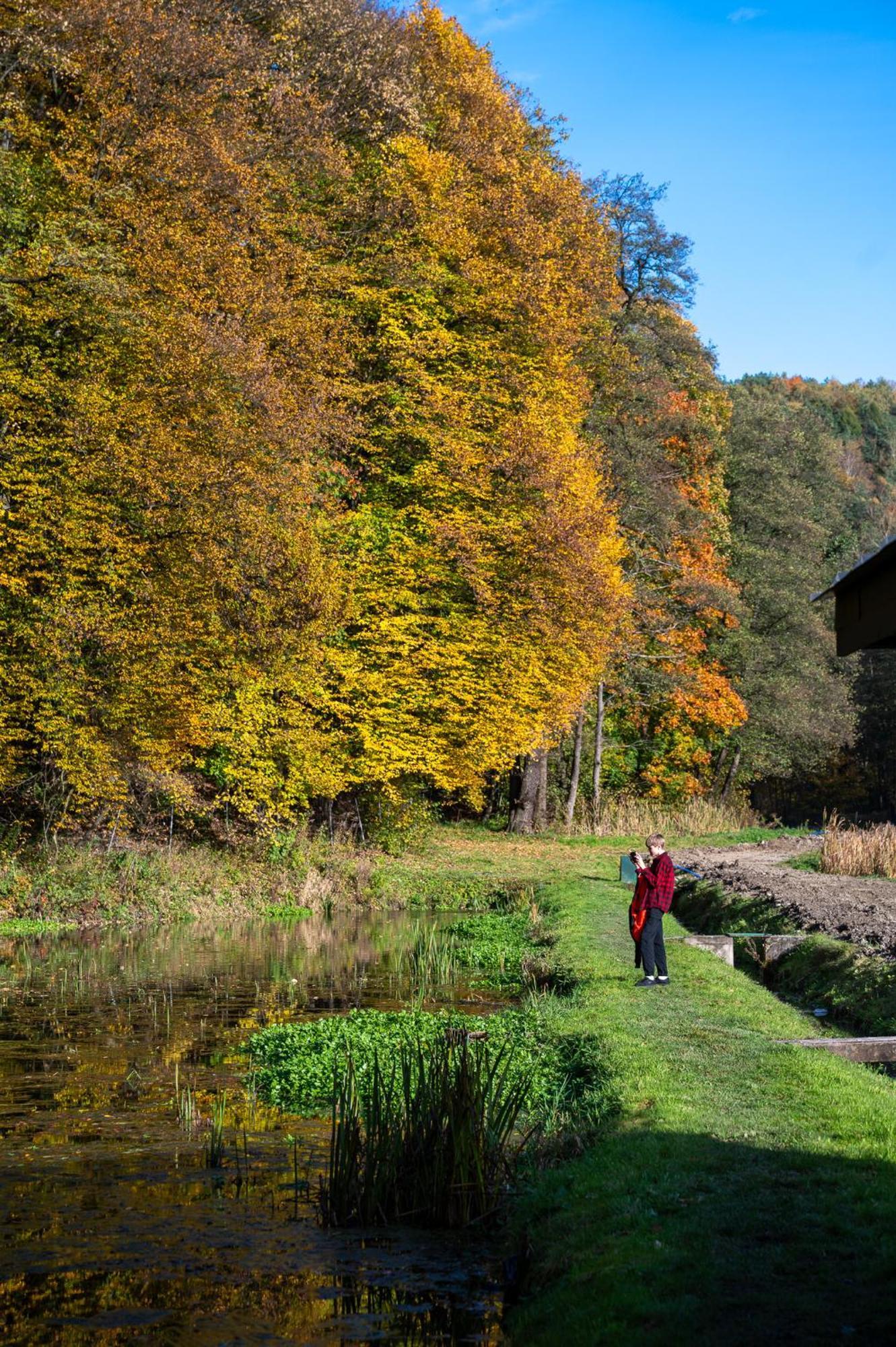 Rozin- Klimatyczne Domki Caloroczne I Jura Krakowsko-Czestochowska Krzeszowice Bagian luar foto