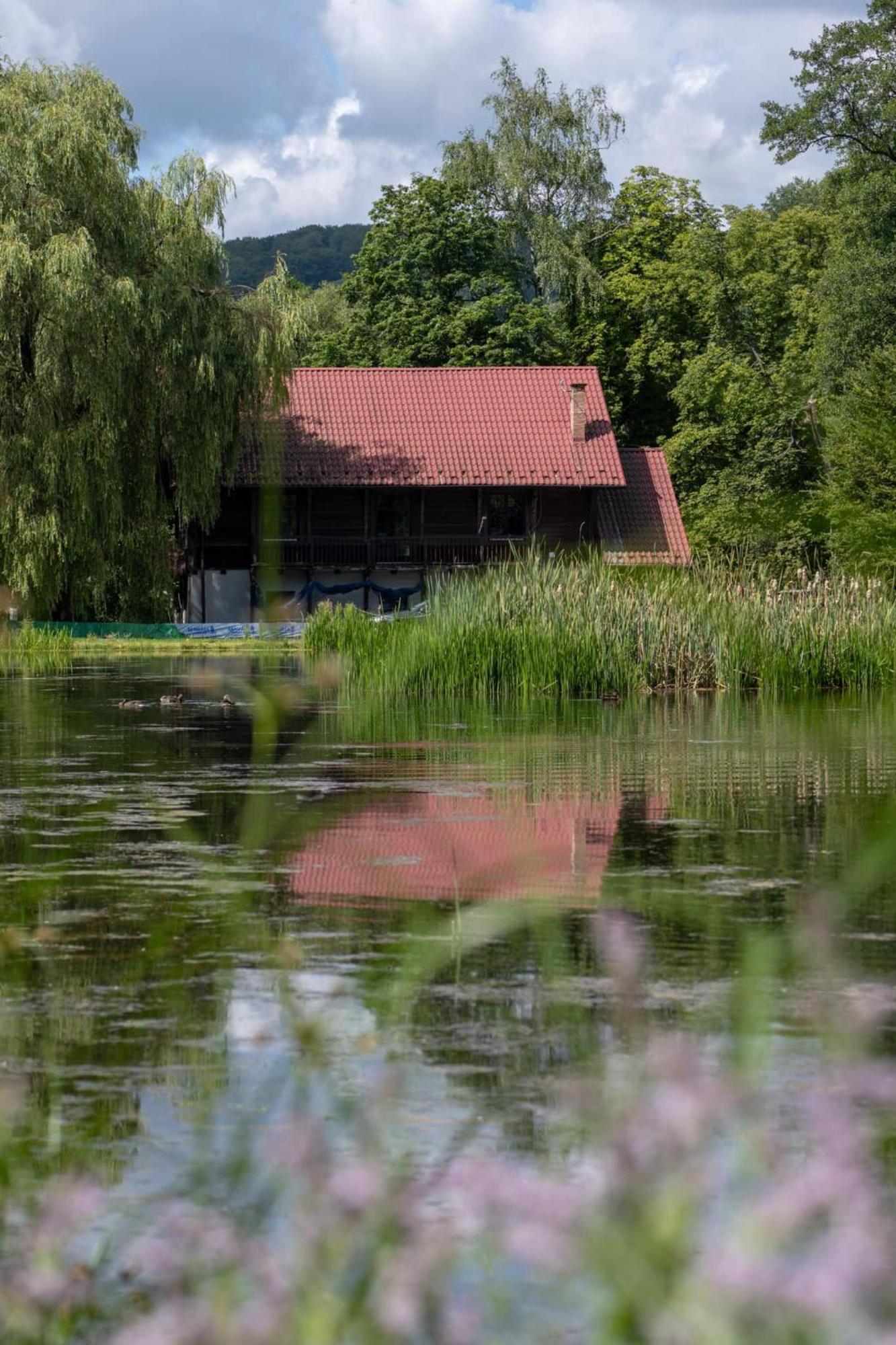 Rozin- Klimatyczne Domki Caloroczne I Jura Krakowsko-Czestochowska Krzeszowice Bagian luar foto