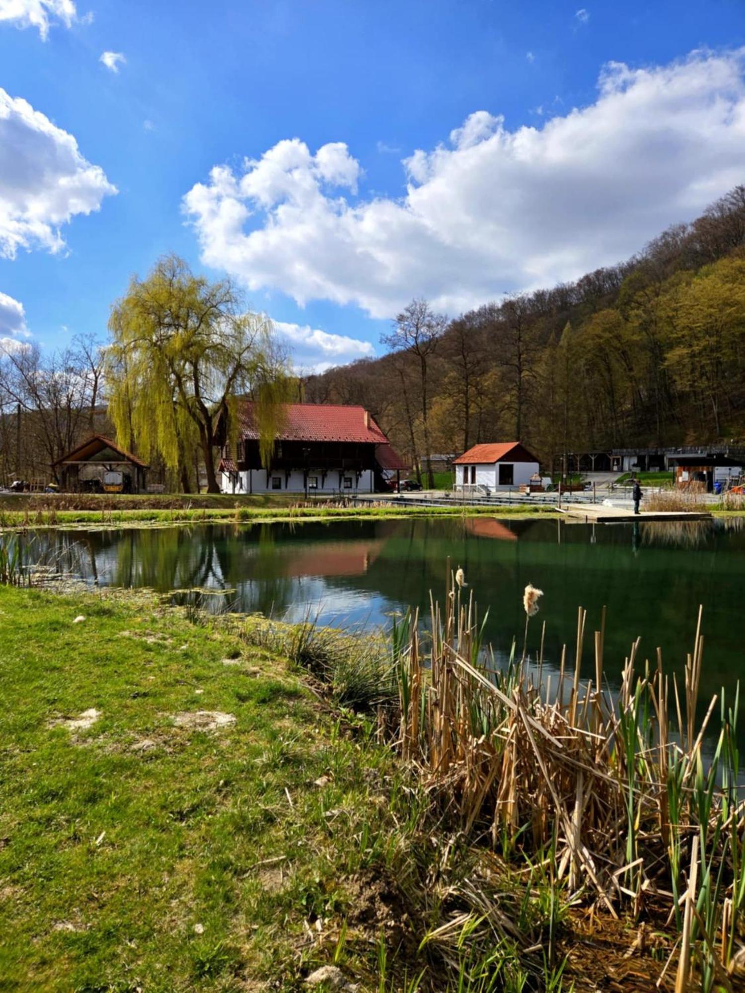 Rozin- Klimatyczne Domki Caloroczne I Jura Krakowsko-Czestochowska Krzeszowice Bagian luar foto